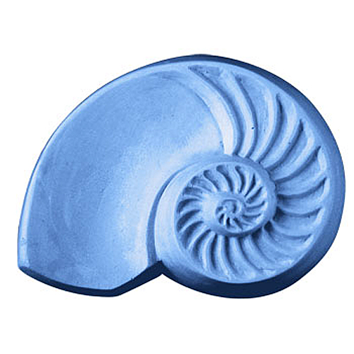 Chambered Nautilus Mold