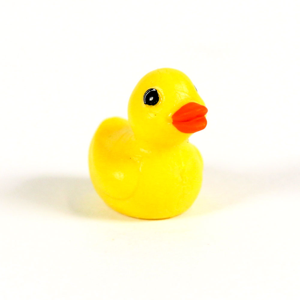 10 rubber ducks - pnaspaces